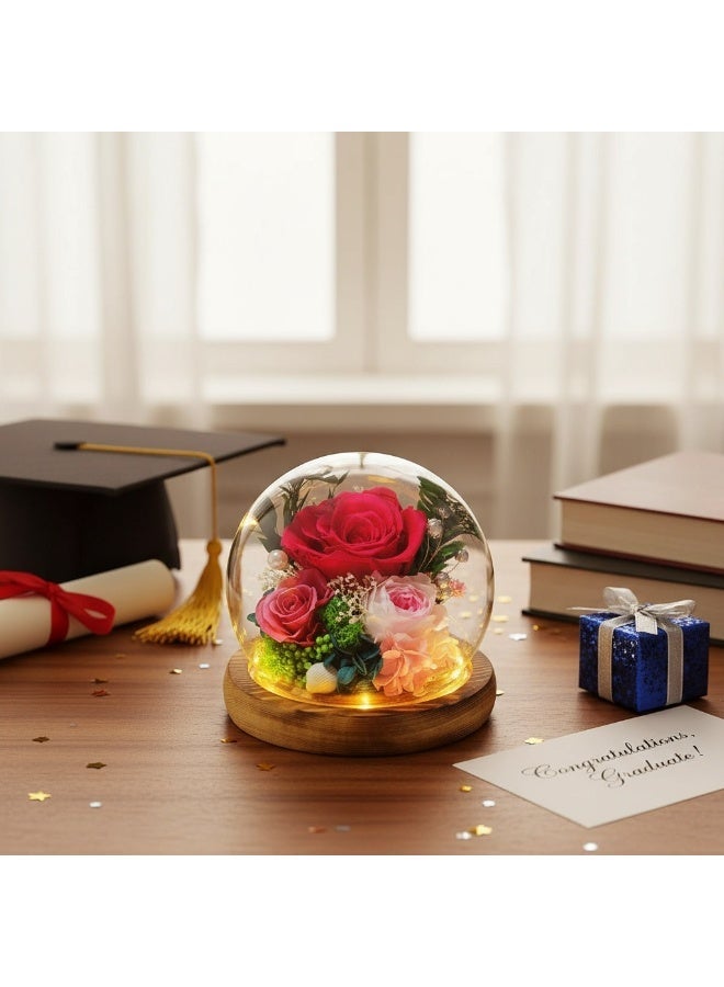 Preserved Rose Flowers With LED Light  - Birthday/Graduation/Valentine's Day - Image 4